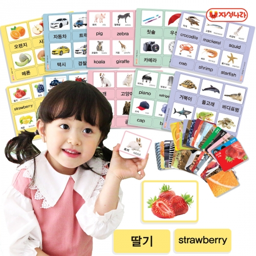 [자석나라] 한글+영어 양면자석 낱말카드 (120p양면+36p) 탈것/교통기관/과일/사물/바다/동물