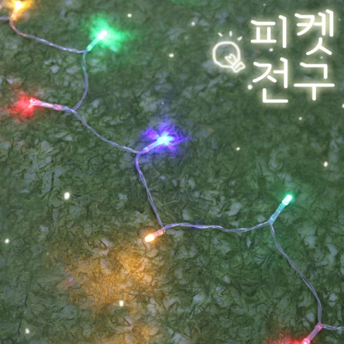 피켓전구 (2m)