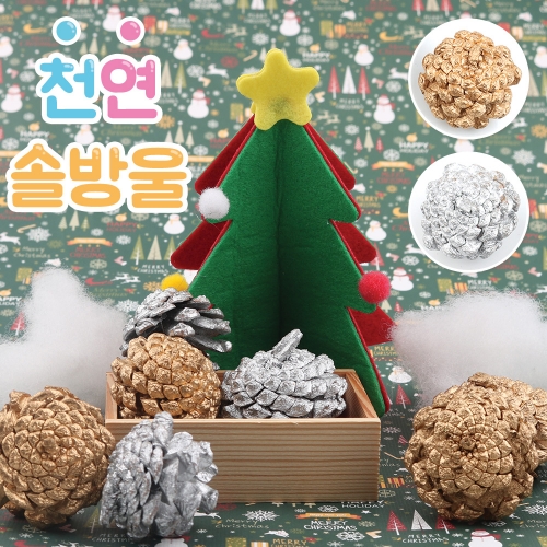 천연솔방울(소)