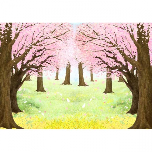 [키즈파람] 봄현수막047