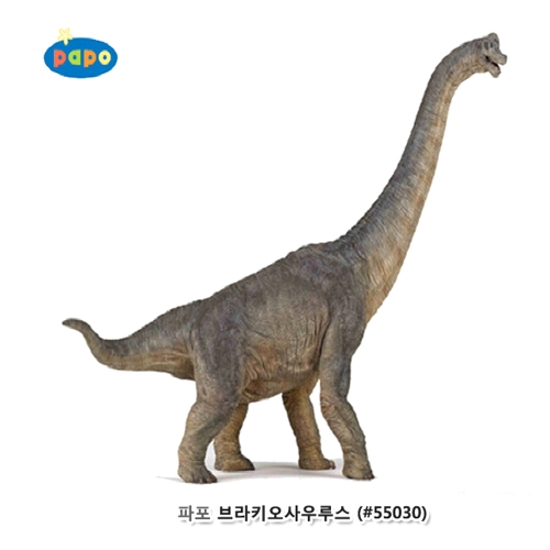 [파포]브라키오사우루스(616PP55030)