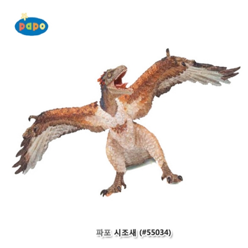 [파포] 시조새 (616PP55034)