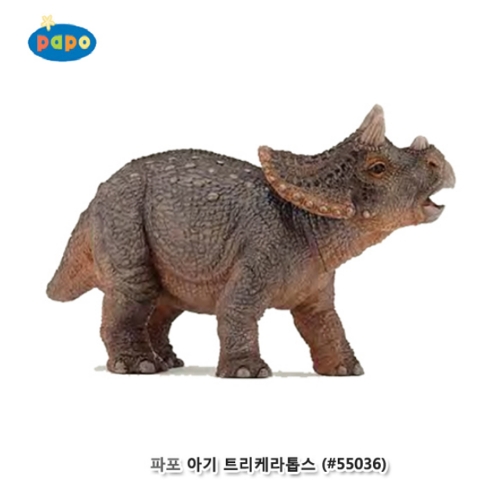[파포] 아기 트리케라톱스 (616PP55036)