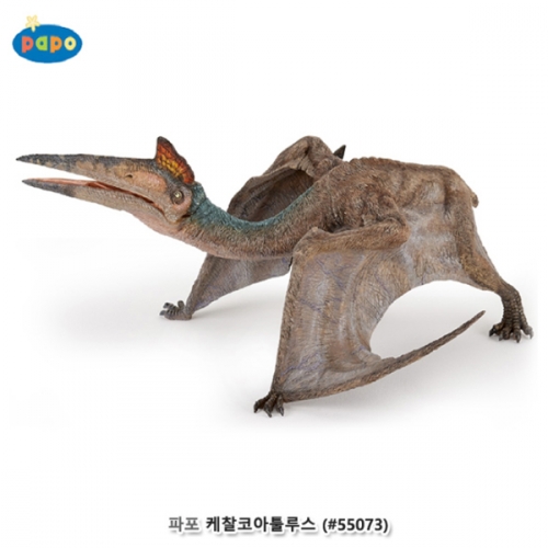 [파포] 케찰코아툴루스 (616PP55073)