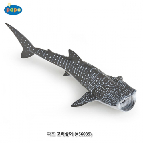 [파포] 고래상어 (616PP56039)