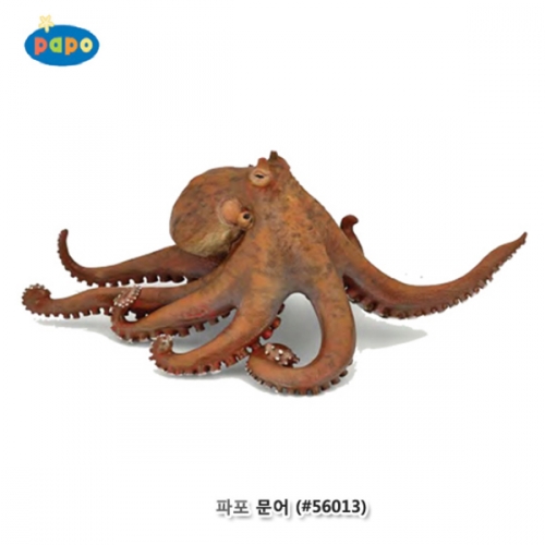 [파포] 문어 (616PP56013)