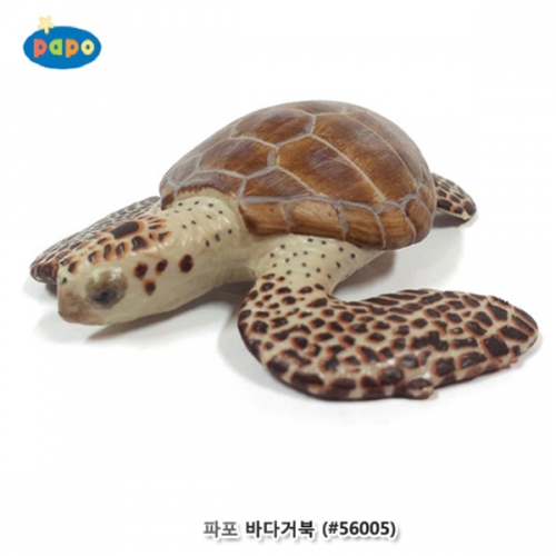 [파포] 바다거북 (616PP56005)