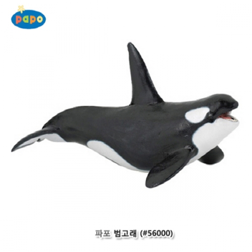 [파포] 범고래 (616PP56000)