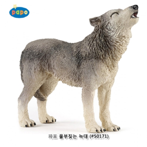[파포] 울부짖는늑대 (616PP50171)