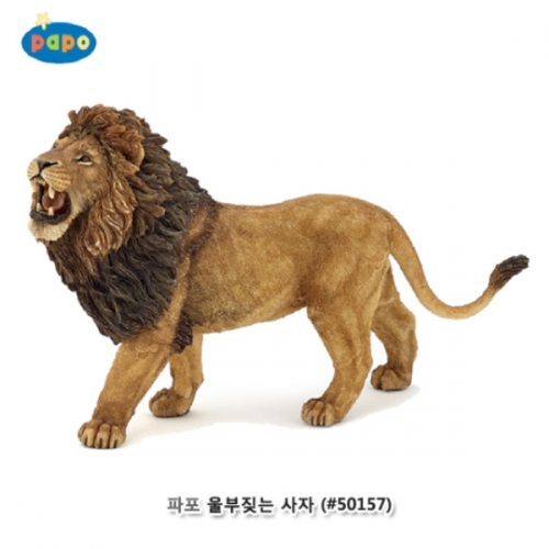 [파포] 울부짖는사자 (616PP50157)