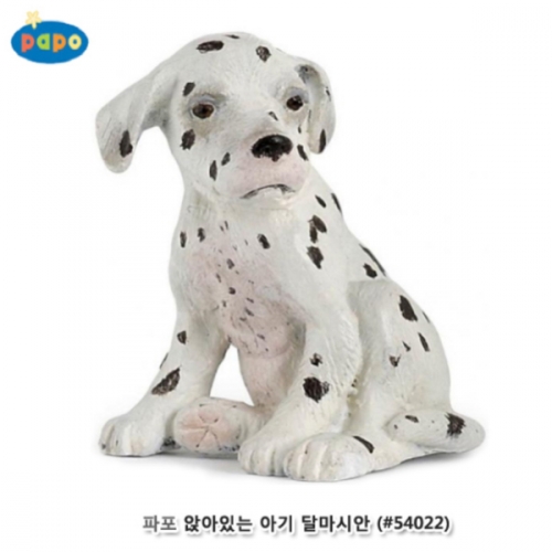 [파포] 앉아있는 아기달마시안 (616PP54022)