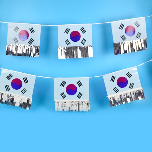 필름 수술 태극기 (20M)