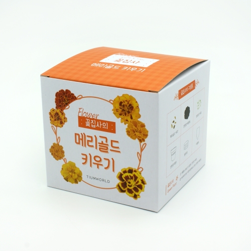 (우리집 정원가꾸기)꽃집사 - 메리골드 키우기