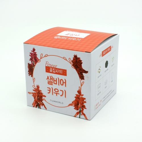(우리집 정원가꾸기)꽃집사 - 샐비어 키우기