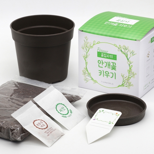 (우리집 정원가꾸기)꽃집사 - 안개꽃 키우기