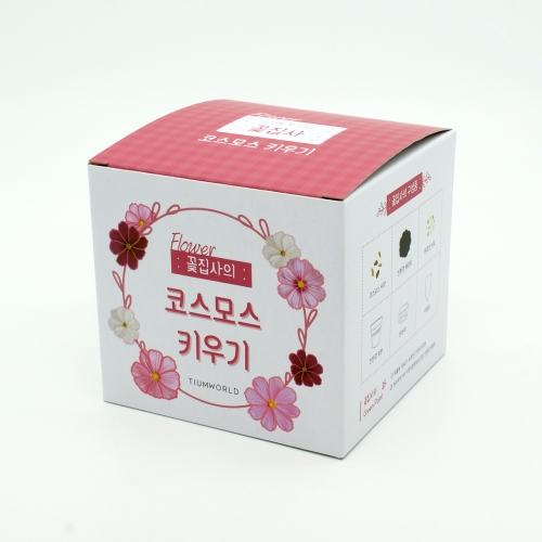 (우리집 정원가꾸기)꽃집사 - 코스모스 키우기