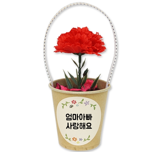 카네이션 화분방향제(5인용)