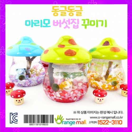 [생태관찰]동글동글 마리모 버섯집 꾸미기