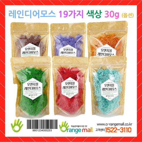 [공기정화]레인디어모스 데코픽 화분 6인(옵션)