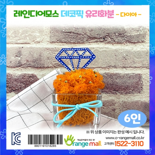 [공기정화]레인디어모스 데코픽 유리화분 6인-다이아