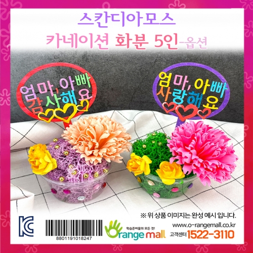 [공기정화]레인디어모스 카네이션 화분 5인-옵션