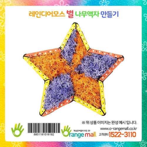 [공기정화]레인디어모스 별 나무액자 만들기