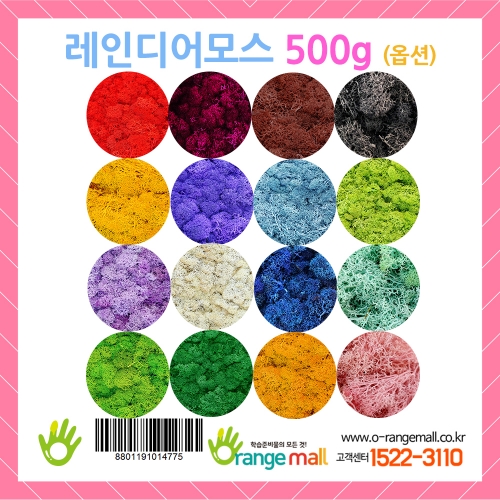 [공기정화]레인디어모스 500g(옵션)