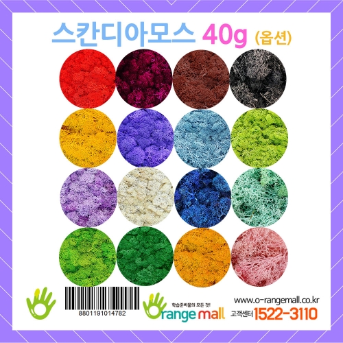 [공기정화]레인디어모스 40g(옵션)