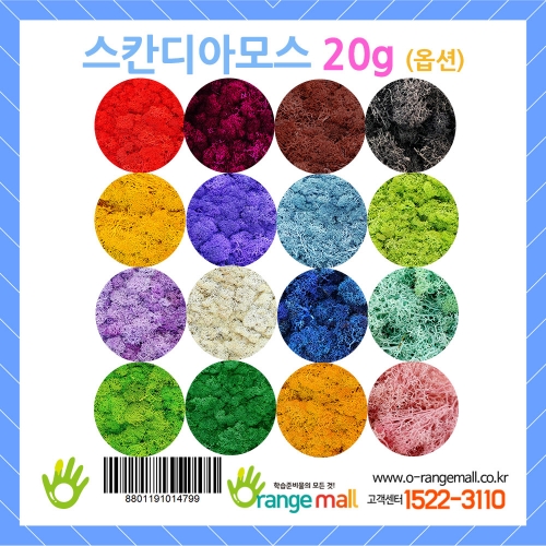 [공기정화]레인디어모스 20g(옵션)