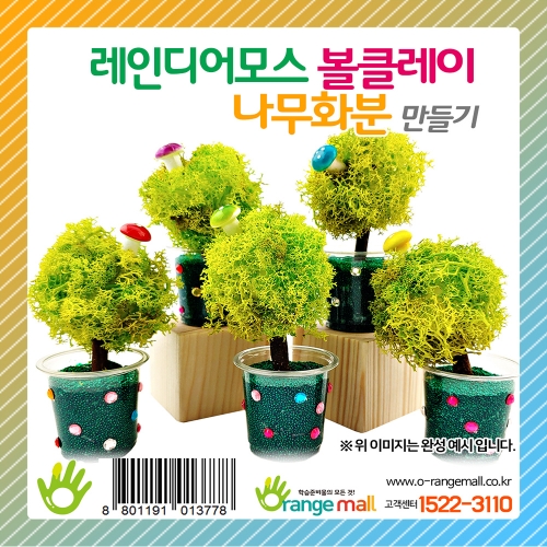 [공기정화]레인디어모스 볼클레이 나무화분 만들기-5인