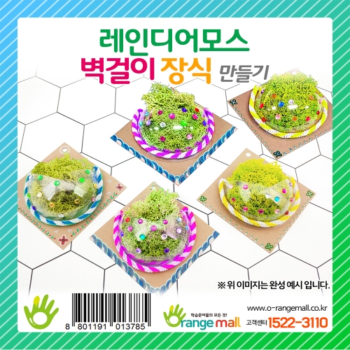 [공기정화]레인디어모스 벽걸이 장식 만들기-5인