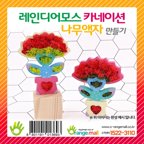 [공기정화]레인디어모스 카네이션 나무액자 만들기