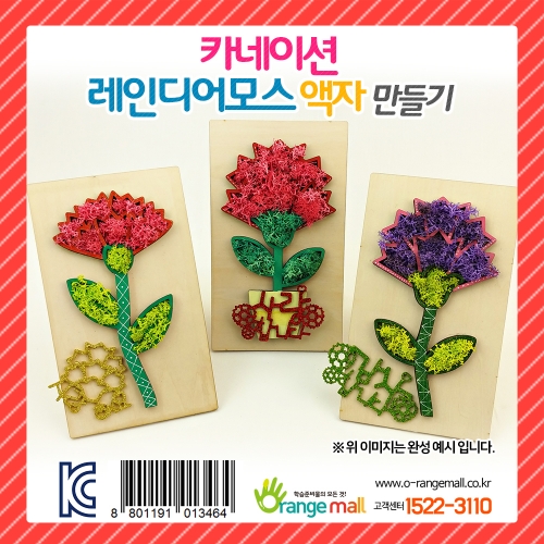 [공기정화]카네이션 레인디어모스 액자 만들기(옵션)