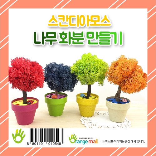 [공기정화]레인디어모스나무화분만들기