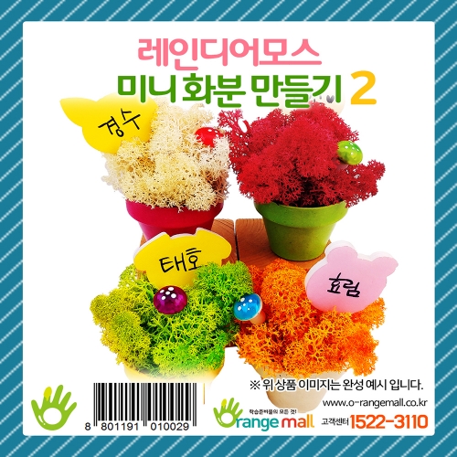 [공기정화]레인디어모스 화분 만들기2 - 미니