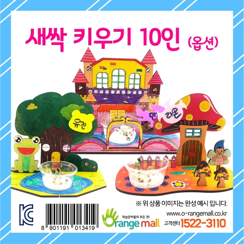 [식물키우기]새싹 키우기 10인 (옵션)