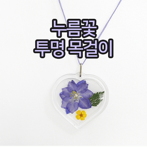 [누름꽃]누름꽃 압화 투명목걸이 만들기