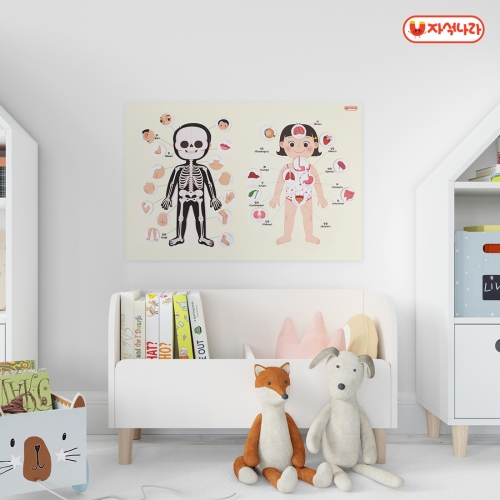 [자석나라] 자석이 붙는 인체 포스터 (나의 몸) (40x60) /학습벽보/병원놀이/장기/뼈