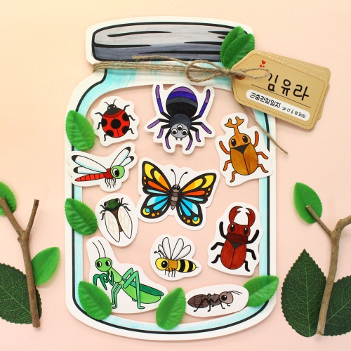 컬러링 곤충관찰 5set