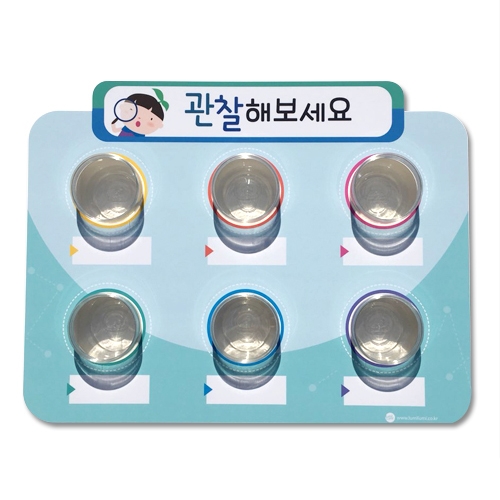 루미루미 관찰게시판6구
