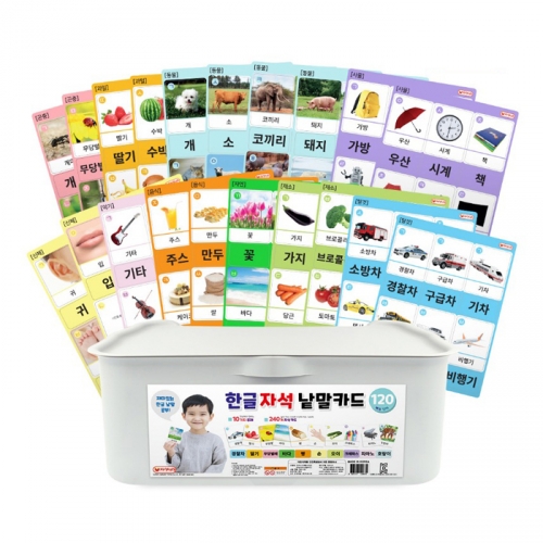 [키즈비전] 한글 자석 낱말 카드 240p