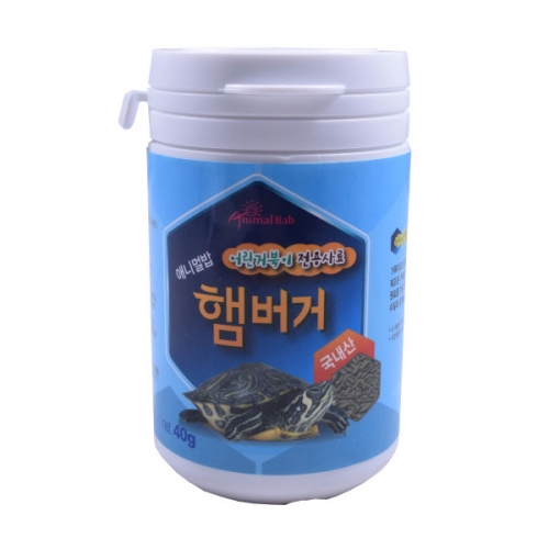 거북이 먹이