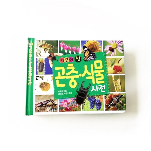 [글송이] 어린이 첫 사전 시리즈 - 세계국기 속담 공룡 동물 곤충 식물 한자 수수께끼