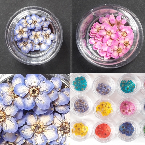 누름꽃재료/조팝꽂 핑크20p/레진공예 네일아트 파츠 꽃소재