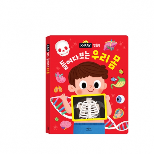 [애플비] X-RAY 필름북: 들여다보는 우리 몸
