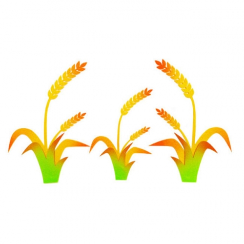 폼스케치 펠트-벼set