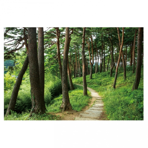 [키즈디자인] 숲속배경현수막 4035