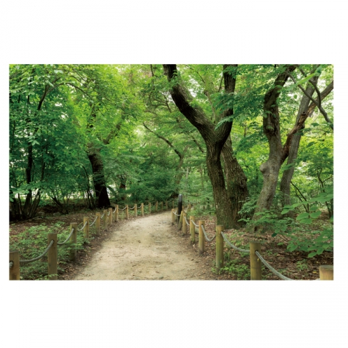 [키즈디자인] 숲속배경현수막 4037