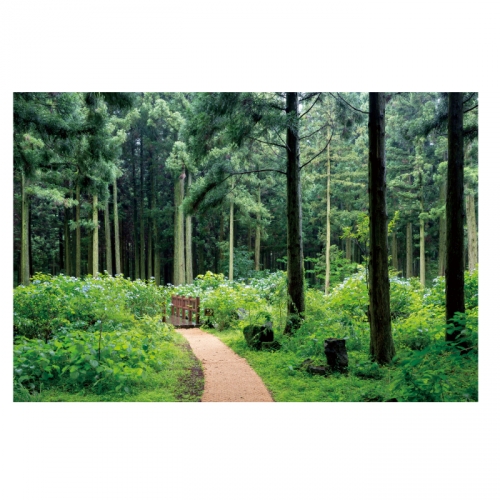 [키즈디자인] 숲속배경현수막 4038