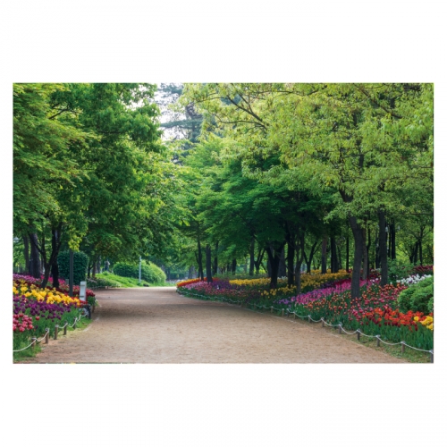 [키즈디자인] 숲속배경현수막 4046 튤립길